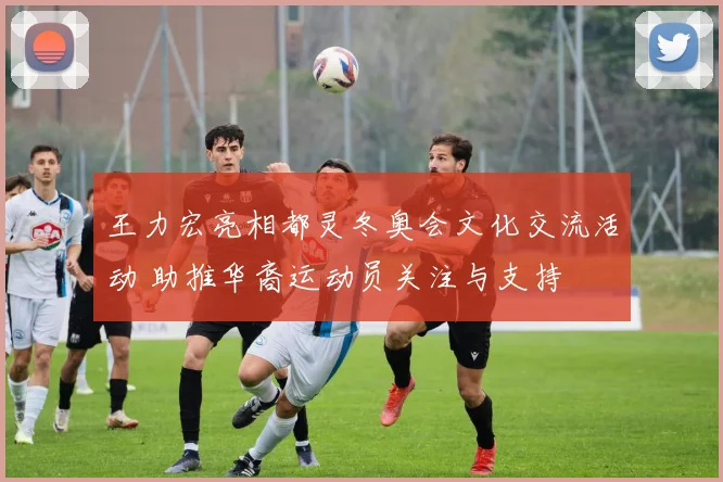 王力宏亮相都灵冬奥会文化交流活动 助推华裔运动员关注与支持