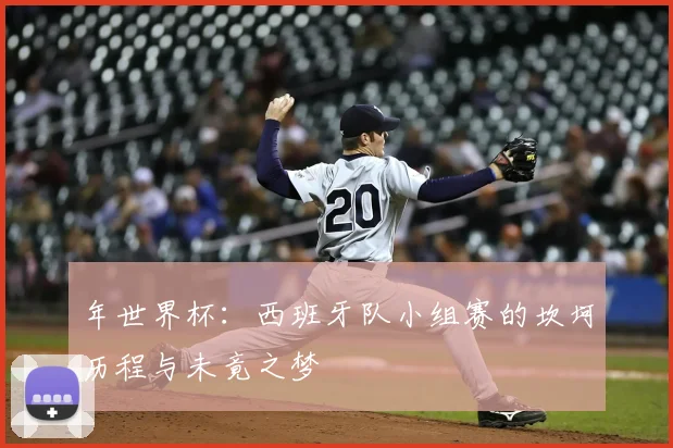 年世界杯:西班牙队小组赛的坎坷历程与未竟之梦