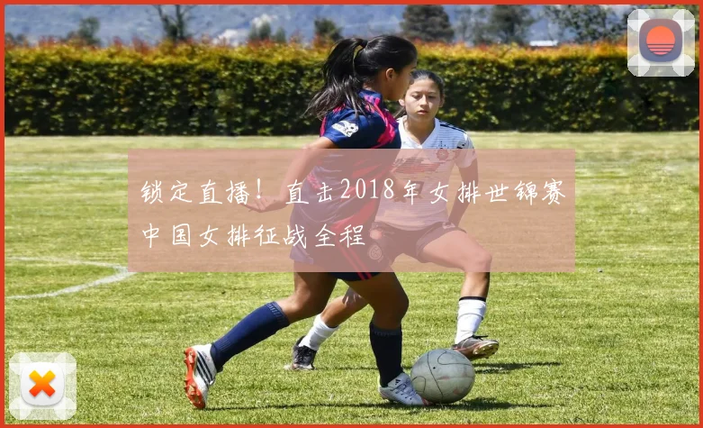锁定直播！直击2018年女排世锦赛中国女排征战全程