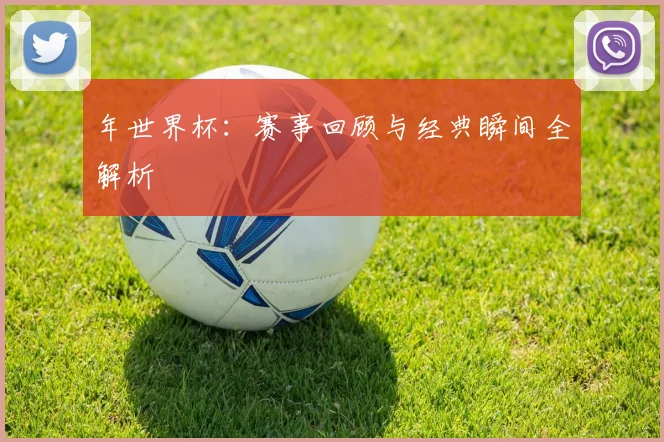 年世界杯：赛事回顾与经典瞬间全解析