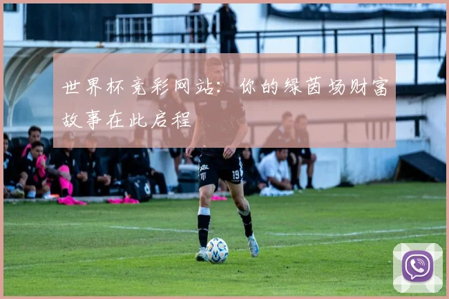 世界杯竞彩网站：你的绿茵场财富故事在此启程