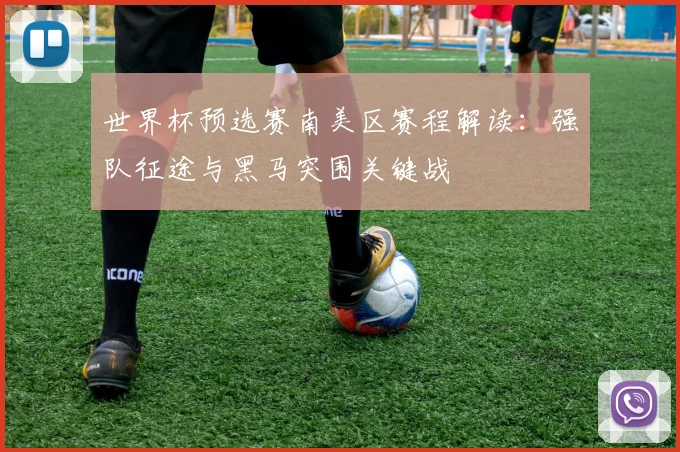 世界杯预选赛南美区赛程解读：强队征途与黑马突围关键战